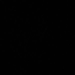 Meet your Posher, Heba